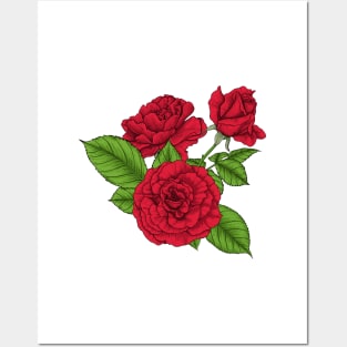 Bouquet of red roses Posters and Art